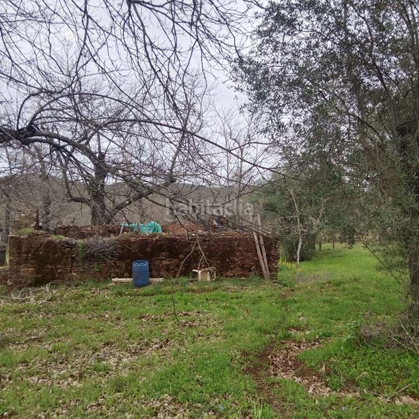 Foto 65f95f66-f4f5-4589-961e-c18da604b1ab. Masia a Aracena