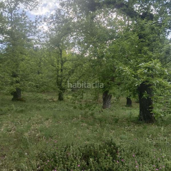 Foto dad6da52-15e9-4b1f-9324-28fd2c21d9ac. Masia a Aracena