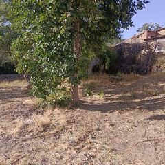 Terreny residencial a Castaño del Robledo