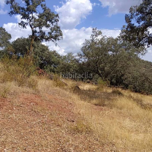 Foto 627d9697-c273-4d16-802d-e712055e8e95. Terreny residencial a Aroche