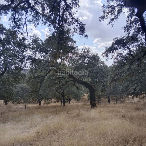Foto 6ab8d904-0883-4f4a-b552-f390315887f2. Terreny residencial a Aroche