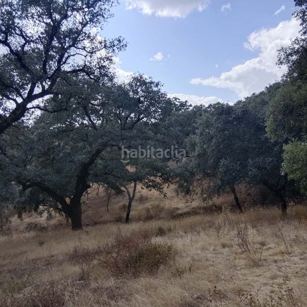 Foto 8e5ad14f-1d6e-432d-8ef6-6df3b4524c84. Terreny residencial a Aroche