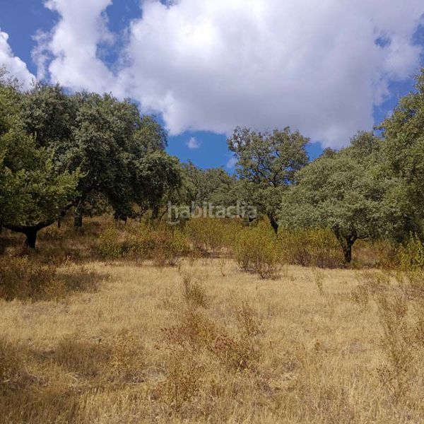 Foto fbf3fdd2-e7a1-40dc-8c6c-4d490e271495. Terreny residencial a Aroche