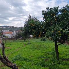 Casa a Cortegana. Casa en cortegana