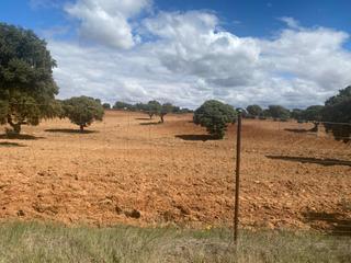 Finca rústica a Ciudad Jardín. Finca de 800 hectareas en almagro.  ciudad real