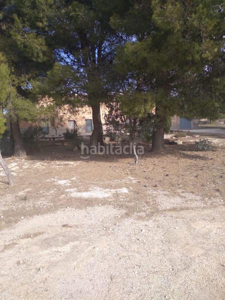 Foto 41fe401d-eb29-4b7d-95b0-7754f0b7db4e. Finca rústica a Yecla