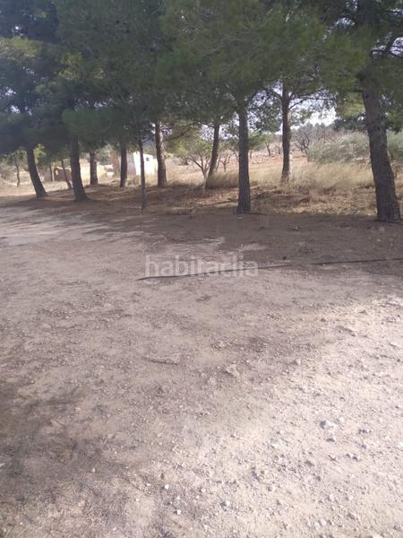 Foto 8dec4f68-9a90-4130-b9c8-bac639296e5c. Finca rústica a Yecla