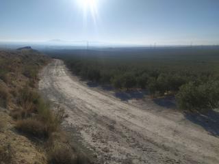 Rural plot in Centro - Sagrario. Finca de 365 hectareas regadio en granada