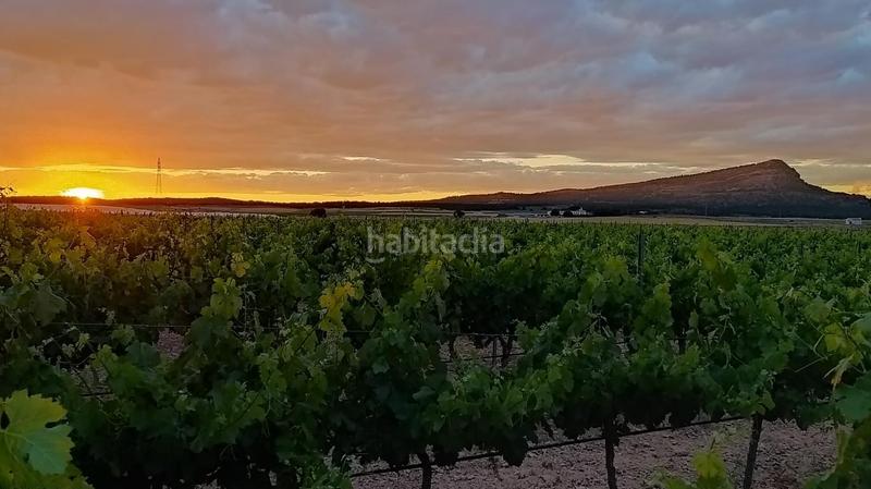 Foto d2656dd3-b97c-49b7-b59e-f3d50b449b6d. Finca rústica finca bodega de 54 hectareas spain region en Murcia