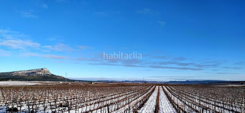 Foto df64158d-0937-44c3-9c59-36975fe54a17. Finca rústica finca bodega de 54 hectareas spain region en Murcia