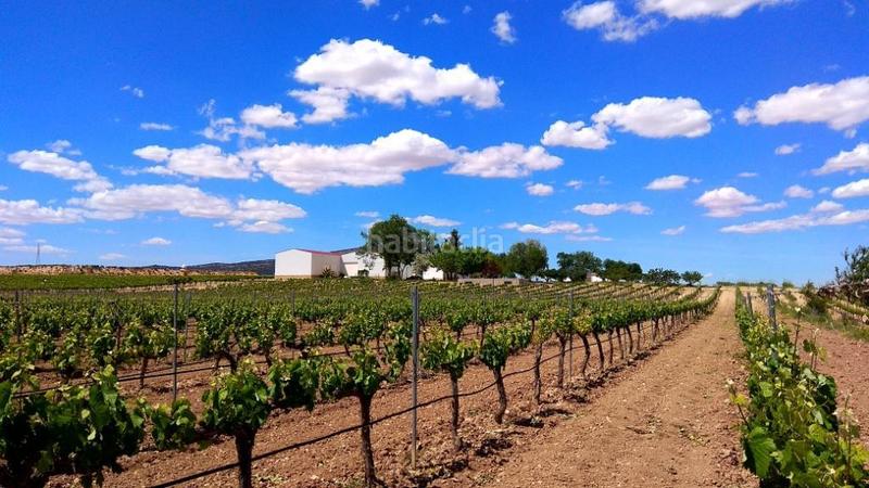 Foto e0fc6073-7a3c-49bf-90f4-889b08d6c211. Finca rústica finca bodega de 54 hectareas spain region en Murcia