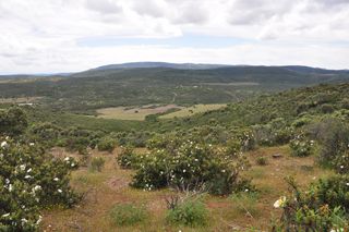Rural plot in N/a. Finca de 209 hectareas regadio en elche
