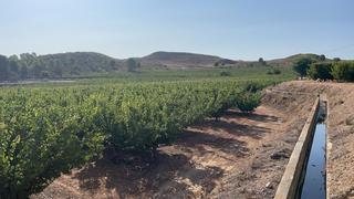 Finca rústica a N/a. Finca  107 hectareas regadio en murcia