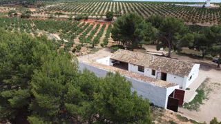 Propriété à Calle correos 21. Finca de 33 hectareas almendros regadio en utiel