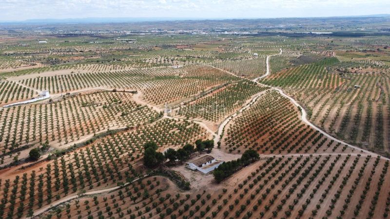 Foto 61377518-f5a0-4436-a525-dec3b124842a. Finca rústica a calle correos 21 a Utiel