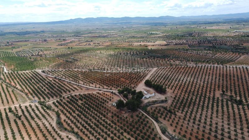 Foto 6e7ecafa-1194-45ee-8507-f29d2b674441. Finca rústica a calle correos 21 a Utiel