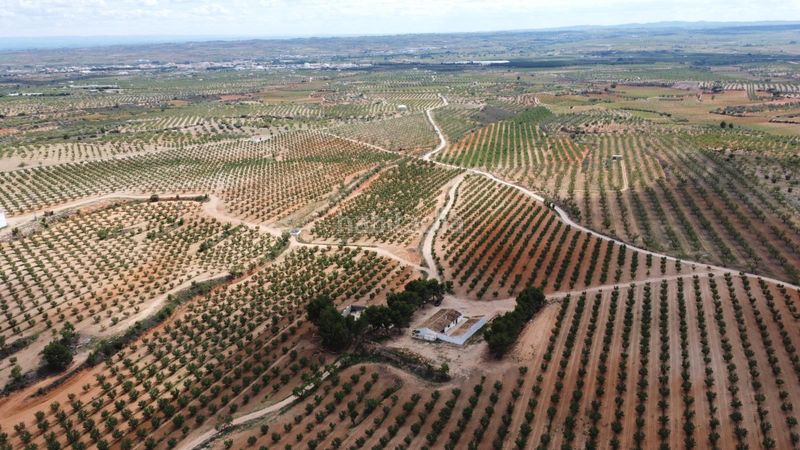 Foto cc9efa23-7b1f-4405-8bea-9e66f24e8476. Finca rústica a calle correos 21 a Utiel