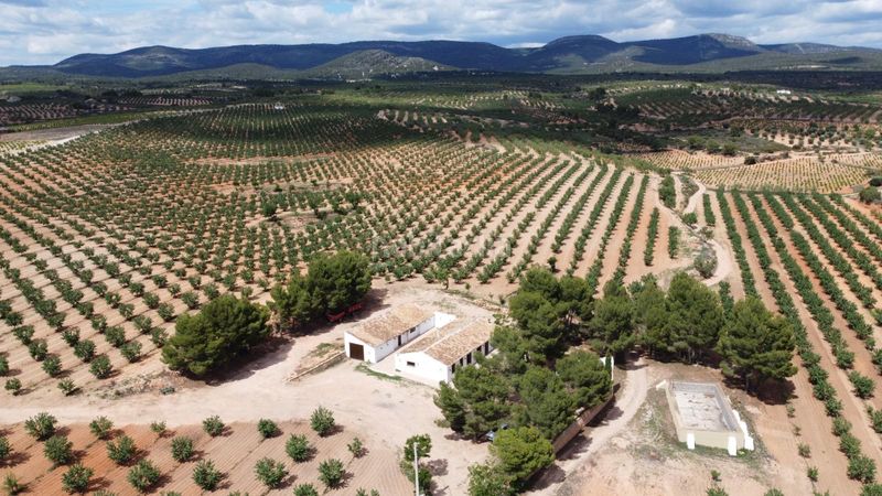 Foto cf6a1df9-d2fe-4a4d-b31d-d2086a7bcc2d. Finca rústica a calle correos 21 a Utiel