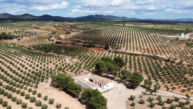 Foto dd7c8a75-021a-4240-a682-ec27de8354ca. Finca rústica a calle correos 21 a Utiel