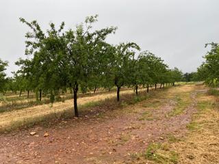 Finca rústica a N/a