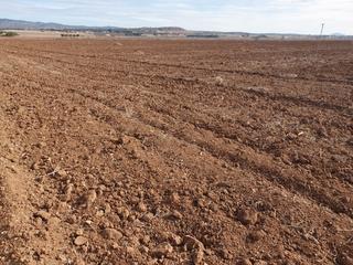 Finca rústica a N/a. Finca de 250 hectareas tierra especial secano