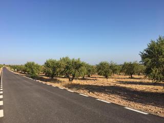 Rural plot in Centro - Sagrario. Finca 120 hectareas almendros toda regadio