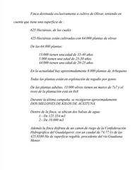Finca rústica a Renfe - Bulevar 1ª y 2ª Fase. Finca de olivar de 600 hectareas en jaen con almazara