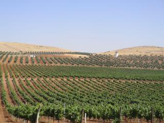 Finca rústica a Vial camino 5720. Finca 340 hectareas  olivos regadio