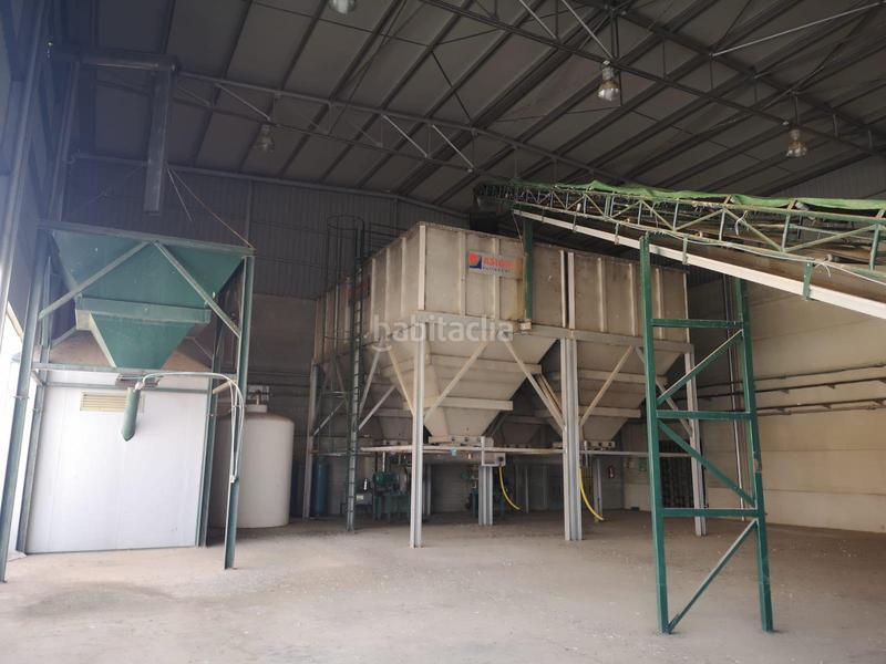 Foto 1a8aa978-b449-42ef-9aff-2564c6741d4d. Fondo rustico in vial camino 5720 in Área Rual - Valverde - Las Casas Ciudad Real