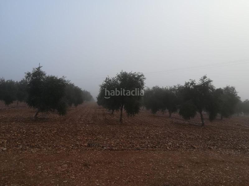 Foto 4ab0e12c-010f-4277-865a-ffbfed11d87d. Fondo rustico in vial camino 5720 in Área Rual - Valverde - Las Casas Ciudad Real