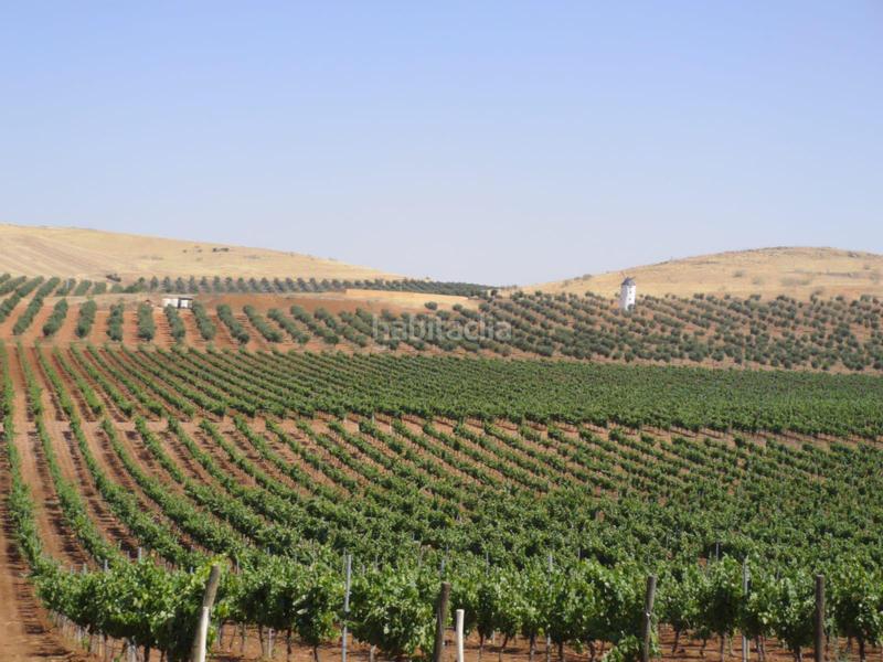 Foto 6028d712-597c-4f01-ac8b-14254b93700a. Fondo rustico in vial camino 5720 in Área Rual - Valverde - Las Casas Ciudad Real