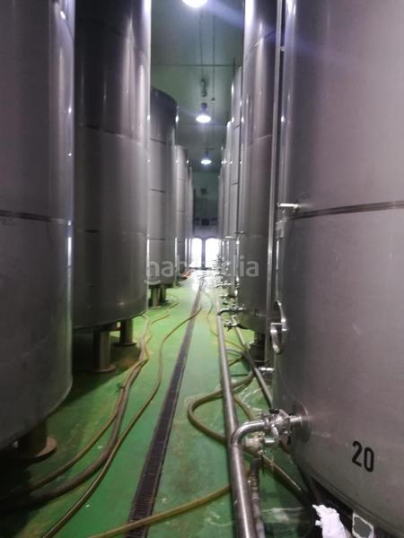 Foto 961c21e5-824b-4bff-8445-f14bdb0ded3f. Fondo rustico in vial camino 5720 in Área Rual - Valverde - Las Casas Ciudad Real