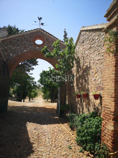 Foto 9dbdfa3c-54a1-4fdd-b19a-55e09151e00f. Fondo rustico in vial camino 5720 in Área Rual - Valverde - Las Casas Ciudad Real