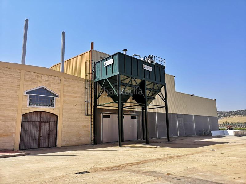 Foto c041f374-bb18-43ed-a952-9aedfb24e09b. Fondo rustico in vial camino 5720 in Área Rual - Valverde - Las Casas Ciudad Real