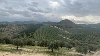 Finca rústica a Caudete. Finca de 300 hectareas regadio en caudete