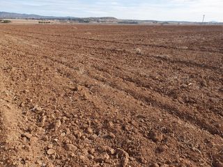 Landgut in La Calzada - La Florida. Finca 400 hectareas tierra calma regadio en sevilla. vendida