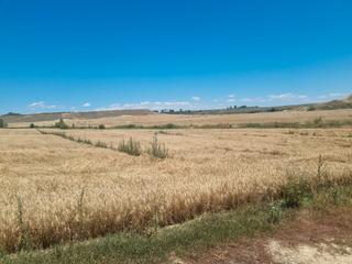 Propriété à N/a. Finca 500 hectareas toda regadio en zaragoza
