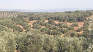 Finca rústica a Polígono santa engracia 45a. Finca 338 hectareas toda regadio en badajoz