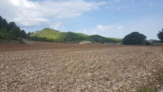 Finca rústica a Requena. Finca 33 hectareas en hortunas: