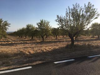 Fondo rustico in Tercia. Finca 273 hectareas regadio en lorca