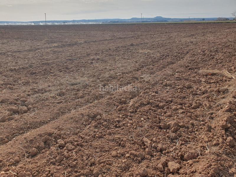 Foto f4254775-bae2-47fc-86ff-793c94c8dd2e. Finca rústica en Caravaca de la Cruz