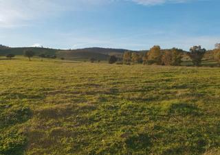 Rural plot in Pedanías - Extrarradio