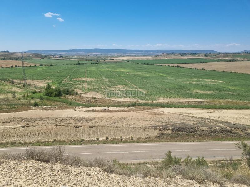 Foto 2d2a94ac-cc2f-45b1-8f94-8646b97d6943. Fondo rustico in Jerónimo y Avileses Murcia