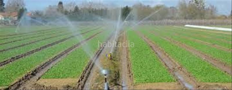 Foto 6b1c48fb-87ff-499a-b273-2e25a36a3838. Fondo rustico in Jerónimo y Avileses Murcia