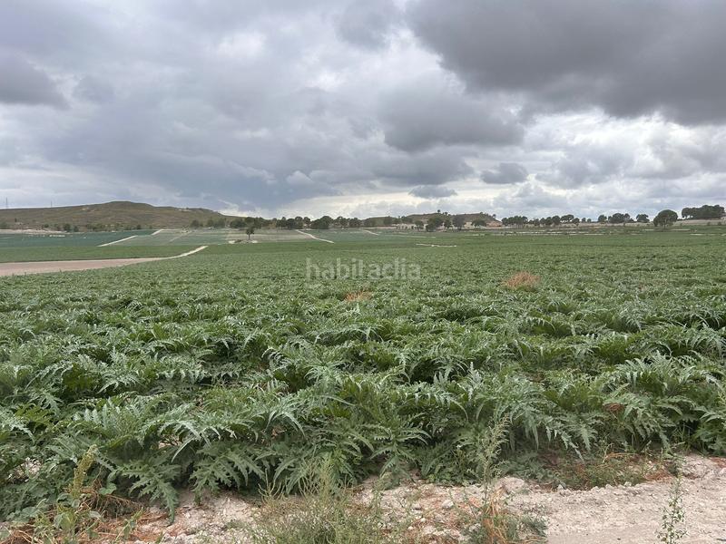 Foto b78e62f3-3677-4d85-b81c-7cc535324b02. Landgut in Jerónimo y Avileses Murcia