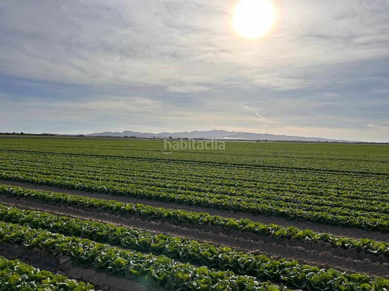 Foto 164cd3e8-321e-4d90-a0b4-d37575fb56d9. Finca rústica a Jerónimo y Avileses Murcia