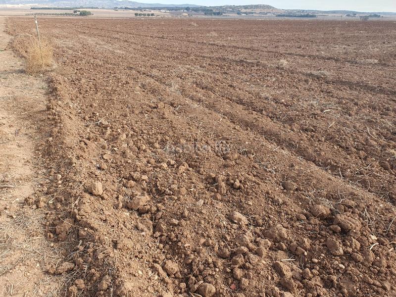 Foto 3ca31812-a66d-45e9-b717-e1ae146b5b64. Finca rústica a Jerónimo y Avileses Murcia