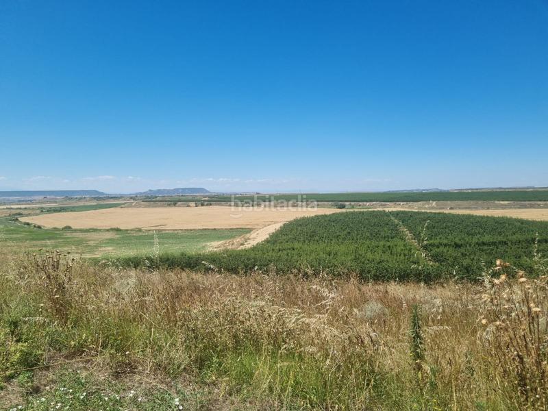 Foto a565a308-5ef9-486c-b59e-eee499685793. Finca rústica a Jerónimo y Avileses Murcia