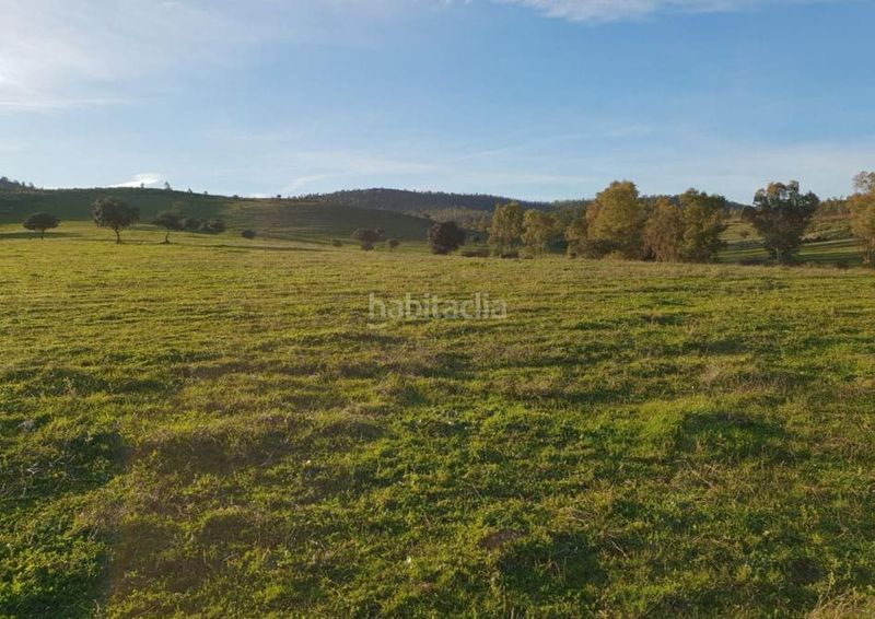 Foto 35871af5-2325-4169-9575-abb2dcc174df. Finca rústica a San Miguel Murcia