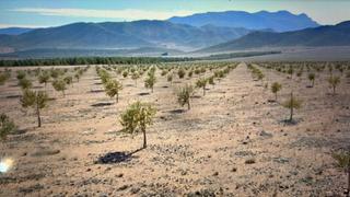 Landgut in Avenida de la Constitución 1